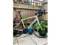 specialized secteur sport x3